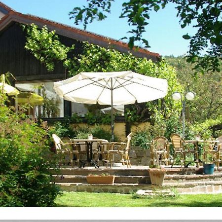 Hotel "Die Kupferpfanne" ドナウシュタウフ エクステリア 写真